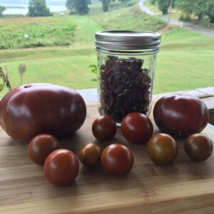 Preserving My Tomato Harvest (with Tomato Paste Recipe) Image
